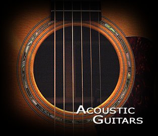 The Incredible Acoustic Guitar