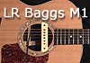 The LR Baggs M1 Window Media Video