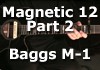 Acoustic 12 String Amplification with Baggs M-1 and Fender Electric Strings