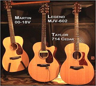 Schertler DYN-G, LR Baggs M-1 Combo, Martin 00-18V, Legend MJV-602, Taylor 714 Cedar Top